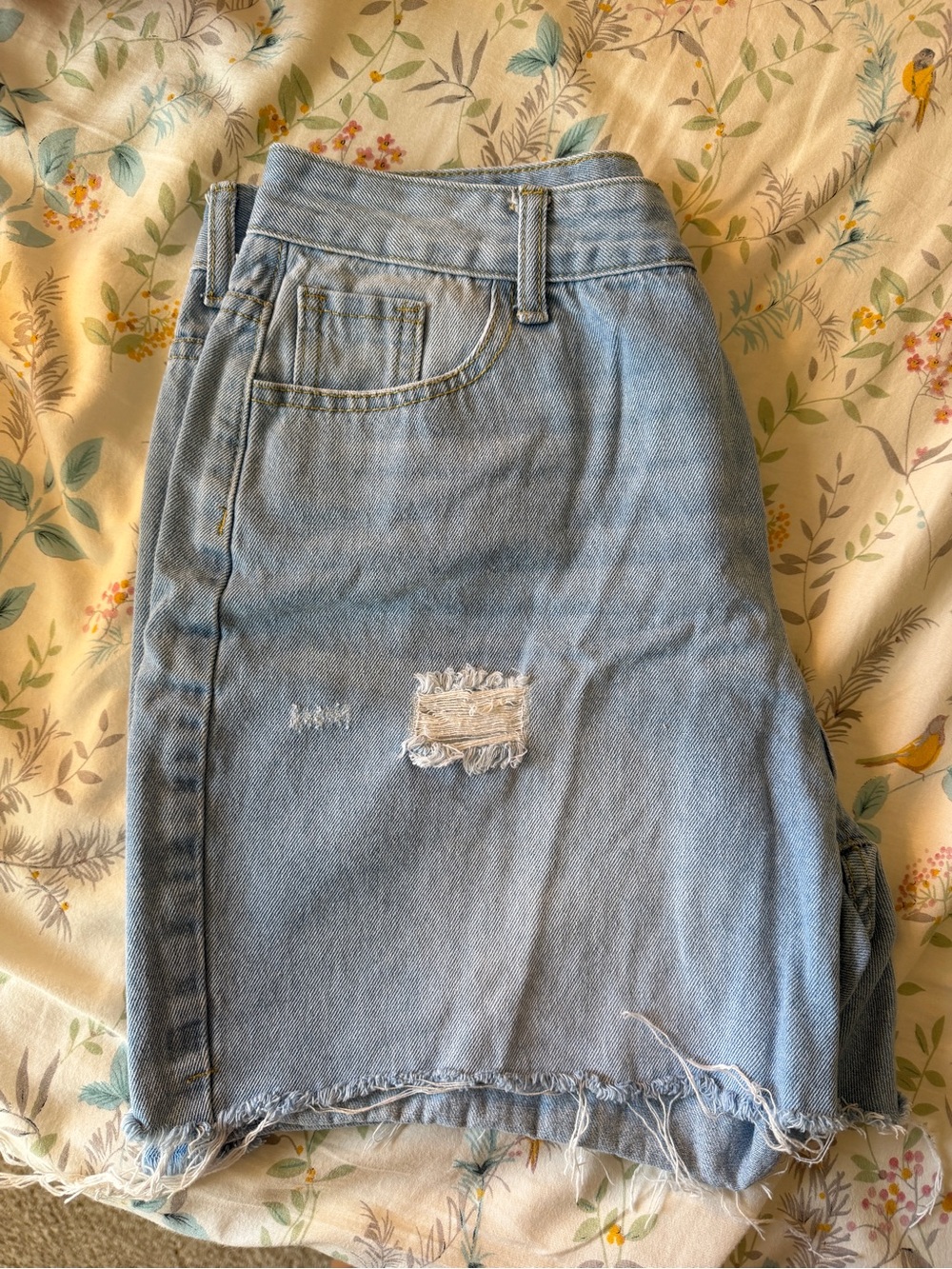 Women’s Jorts